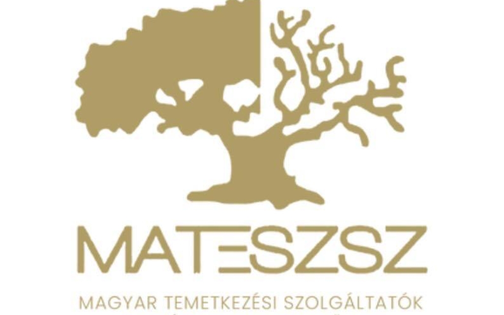 Matesz logo